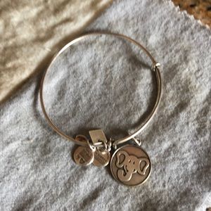 elephant energy alex and ani